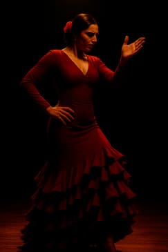 Goya Live Art & Café Teatro Flamenco