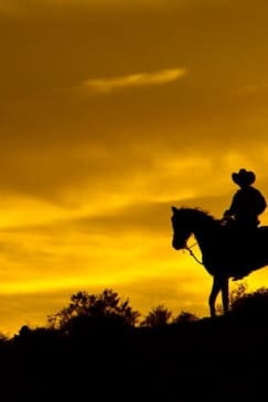 Wild Wild West Sunset Horseback Ride + Dinner