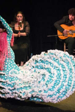 Espectáculo de flamenco en el Teatro Triana