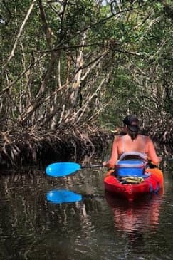 Mangrove Tunnels Pedal Kayak Eco-Tour in Anna Maria