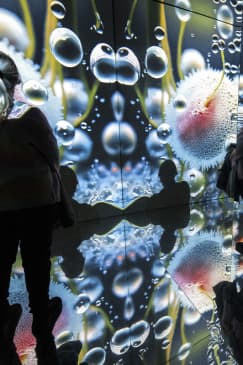 ORIGINS – an immersive journey to the origin of life