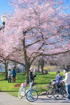 Essential Portland Oregon Bike and E-Bike Tour!