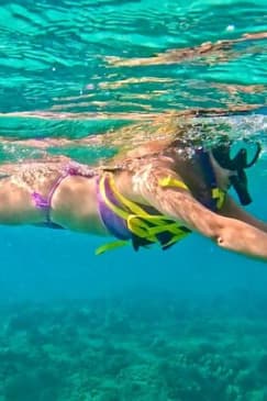 Jet Snorkel Tour in West Palm Beach