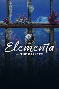The Gallery: Experiential Dining