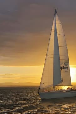 Auckland Harbour Sailboat Cruise Including Three Course Dinner