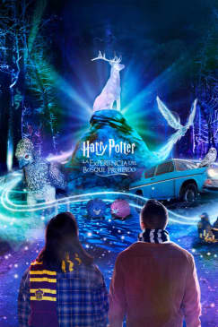 Harry Potter™: La Experiencia del Bosque Prohibido - Lista de espera