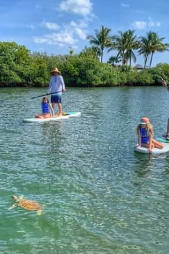Paddle Boarding Eco Adventure Tour Jupiter Florida - Singer Island