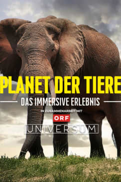 Planet der Tiere - Die immersive Ausstellung