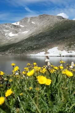 Mt. Evans Summer Mountain Summit
