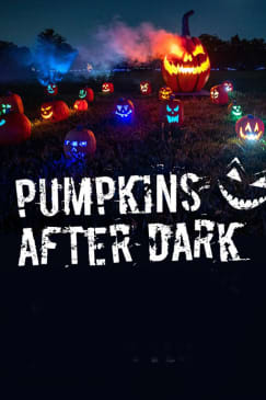 Pumpkins After Dark