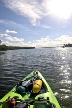 Adventure and Wildlife Watch Kayak Rentals in Sarasota