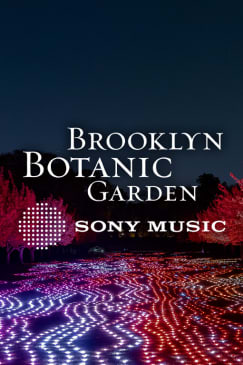 Lightscape at Brooklyn Botanic Garden