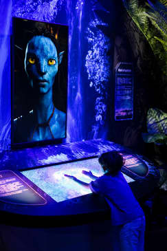 Avatar: The Experience
