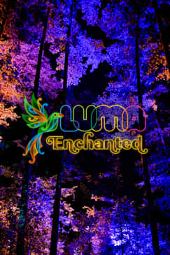 LUMA Enchanted: A Whimsical Sensory Night Walk