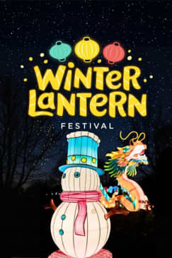 Winter Lantern Festival (Williamsburg, VA) - Waitlist