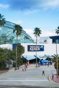 The Florida Aquarium: Entry Ticket