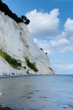 Møns klint and The Forest tower - A day tour from Copenhagen