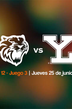 Tigres vs Leones Serie 12 Juego 3