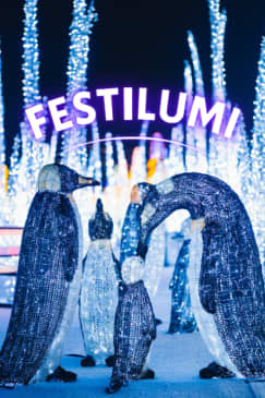 Festilumi