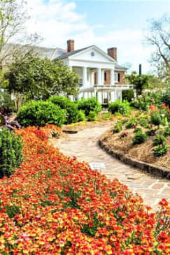 Boone Hall Plantation All-Access Admission Ticket