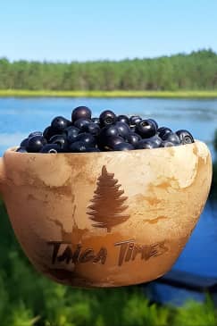 Berry Picking in a National Park