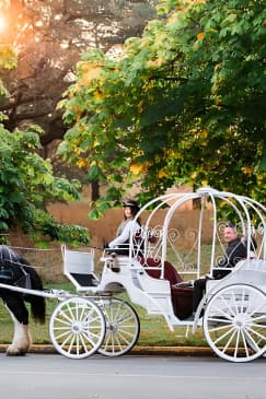 45-Minute By The Park Tour