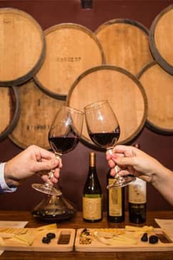 Santa Rita Winery Premium Tour