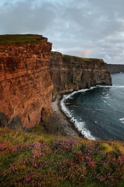 Cliffs of Moher: Premium Tour from Dublin with Cruise and Sheepdog Demo