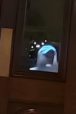 Murder & Mayhem Haunted History Walking Tour