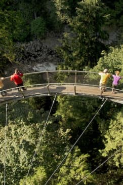 Grouse Mountain & Capilano Suspension Bridge Park: Guided Tour
