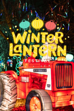 Winter Lantern Festival (Tysons, VA)