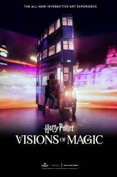 Harry Potter: Visions of Magic