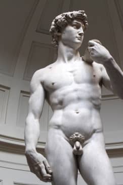 Firenze: Accesso prioritario all'Accademia e visita guidata