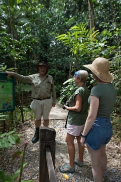 Daintree and Cape Tribulation Full-Day Tour