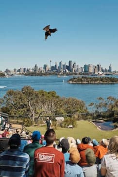 Taronga Zoo Sydney: Entry Ticket