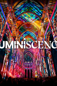 LUMINISCENCE: Notre-Dame de la Treille Cathedral