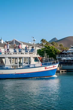 Half Hour Seal and Harbour Cruise from Cape Town