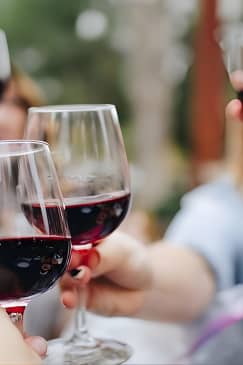 North Georgia Wine Country Tour from Atlanta