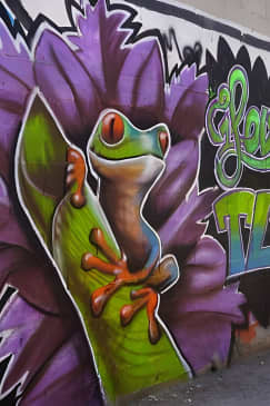 Tel Aviv Street Art & Graffiti Tour