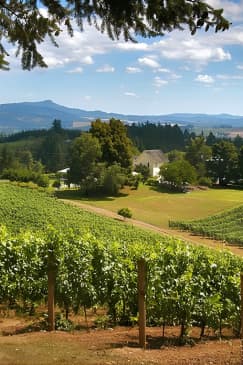 Willamette Valley Wine Tasting Tour from Portland