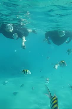 Luxury Snorkeling on Your Vacation Exclusively Private Guaranteed