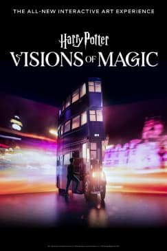Harry Potter: Visions of Magic