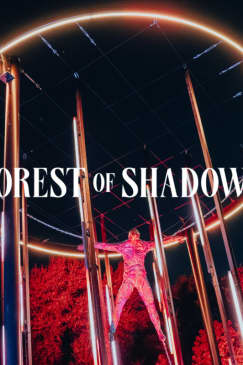 Forest of Shadows: An Immersive Dark Tale