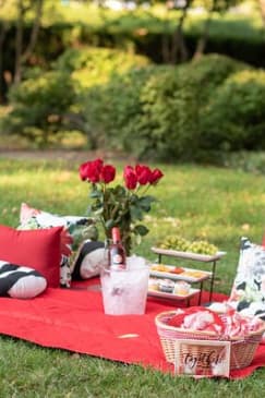 Private Picnic Experience in the Queen City