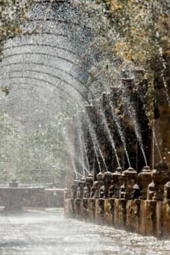 ﻿Alfabia Gardens