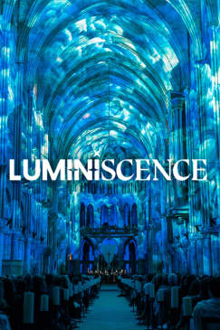 LUMINISCENCE: Sumérgete en los secretos de la Catedral del Buen Pastor