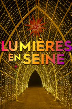 Lumières en Seine: The Illuminated and Musical Holiday Experience