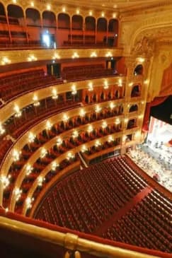 Museo MALBA y Teatro Colón + Tour a pie