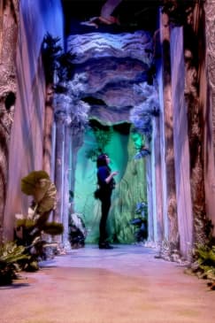 Shiki Dreams: An Immersive Art Experience