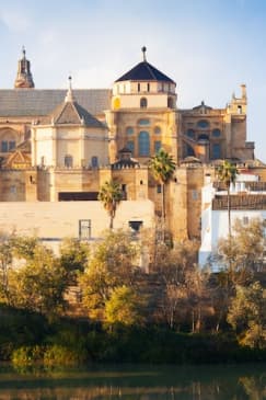 Sinagoga, Alcázar y Mezquita-Catedral de Córdoba: Visita guiada